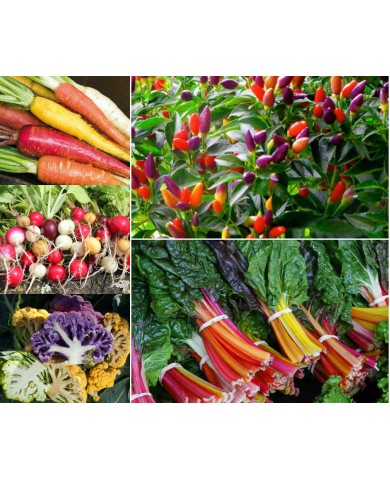 Rau củ cầu vồng cho vườn thêm xinh