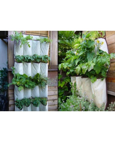 Độc đáo mô hình trồng rau trong túi vải treo