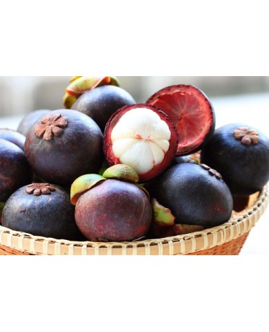 Những lưu ý khi ăn trái cây vào buổi tối Những lưu ý khi ăn trái cây vào buổi tối