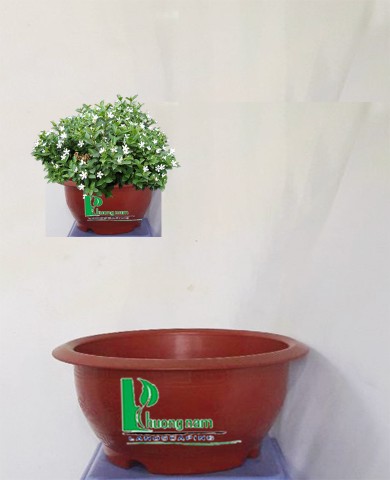 Chậu nhựa tròn 36 x 18 cm (đỏ)