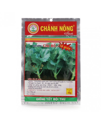 HẠT GIỐNG CẢI RỔ LÁ QUĂN HẠT GIỐNG CẢI RỔ LÁ QUĂN