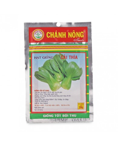 HẠT GIỐNG CẢI THÌA HẠT GIỐNG CẢI THÌA