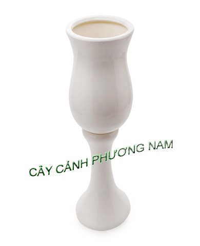 Chậu men ly 47 x 18 cm 